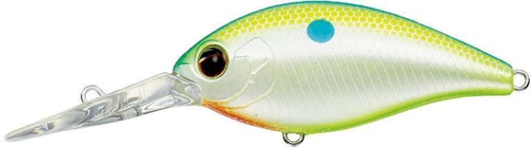 Champion Shad