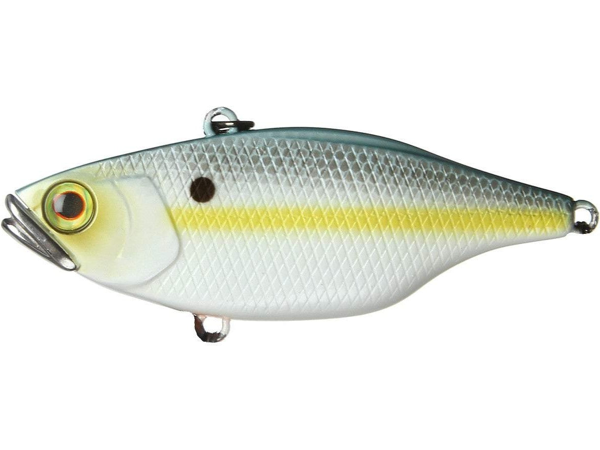 SS Shad