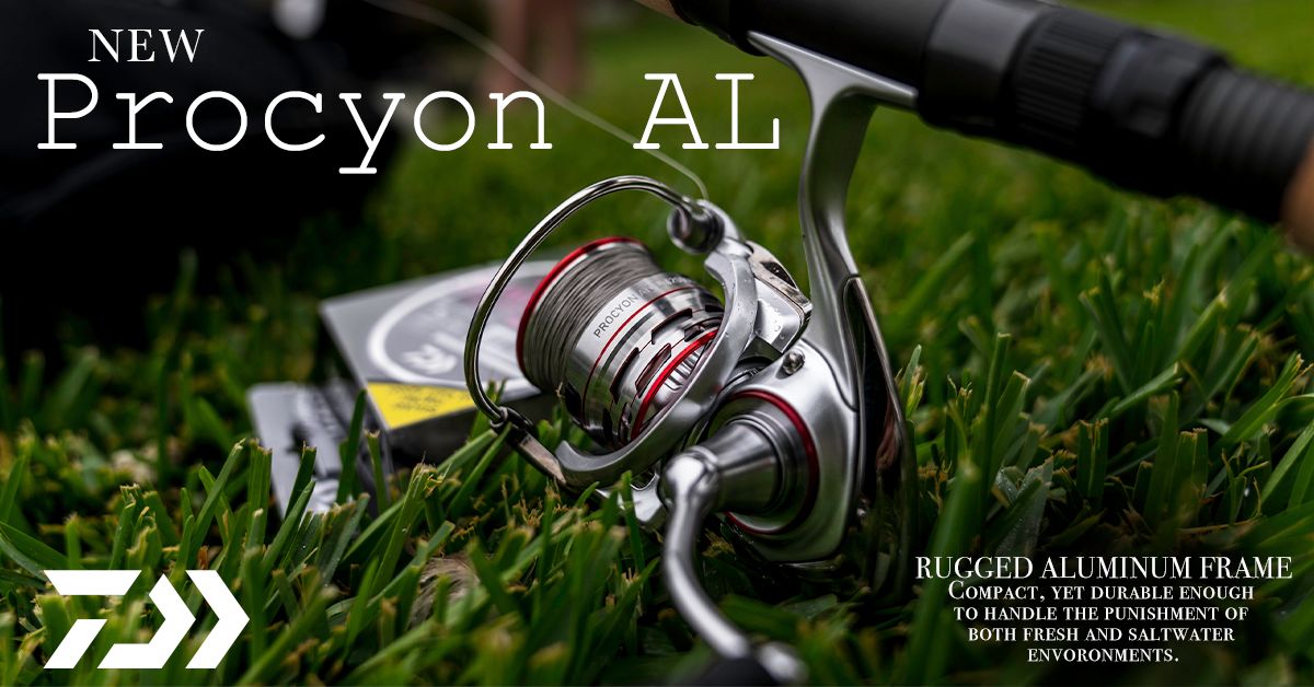 All Spinning Reels