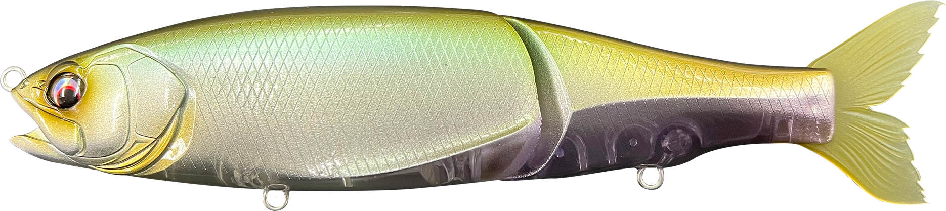 Eisvogel Avido 190