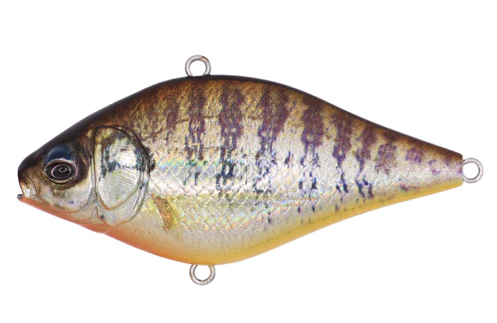 Issei x Little Jack Hera Vibe 65S Real Finish