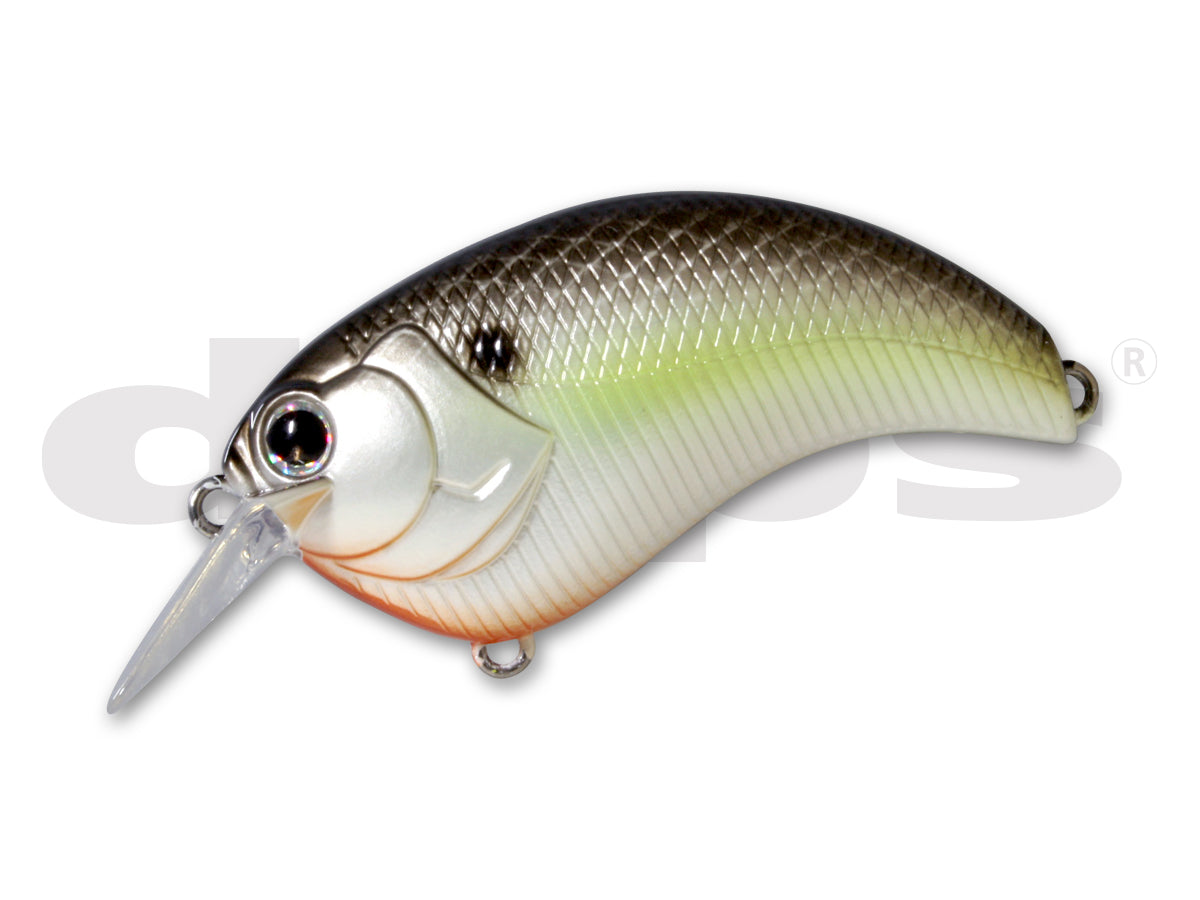 Black Back Shad