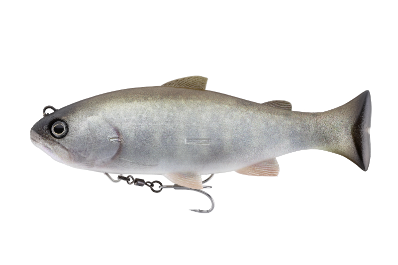 Jackall Vividus