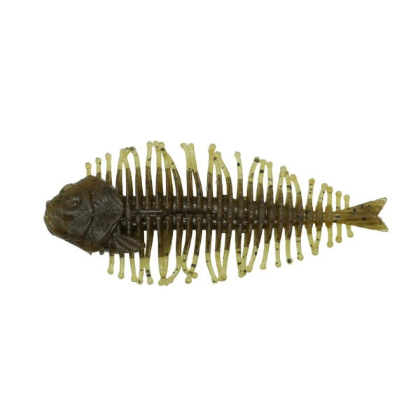 D-Style Geelacanth