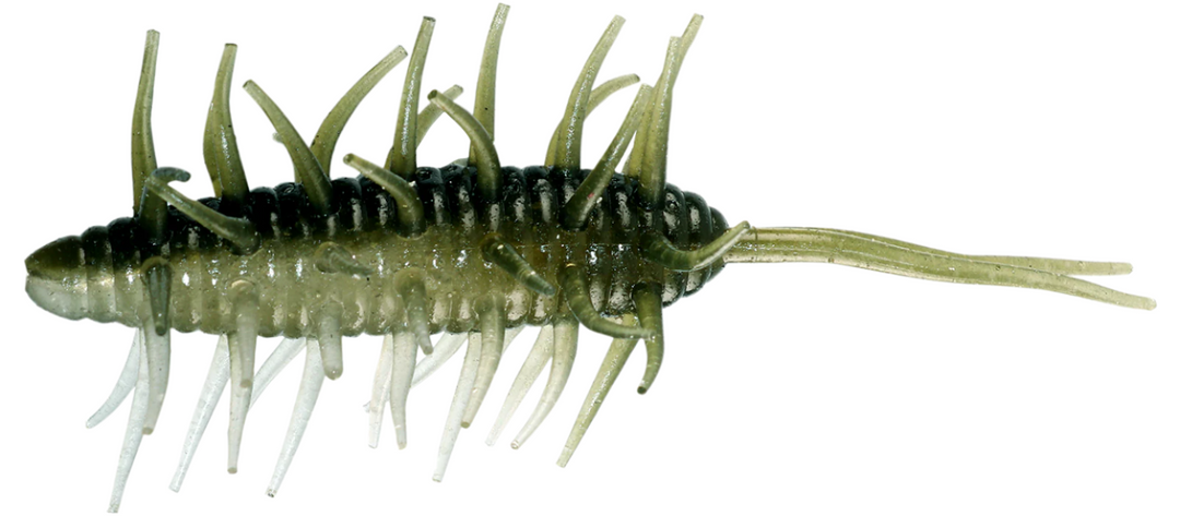 Hideup Coike Shrimp Big