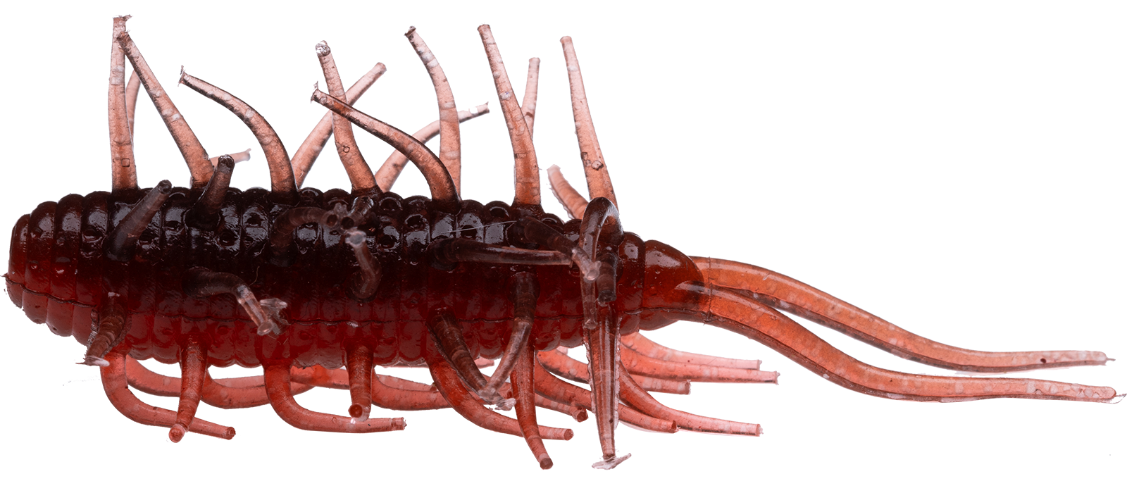 Hideup Coike Shrimp