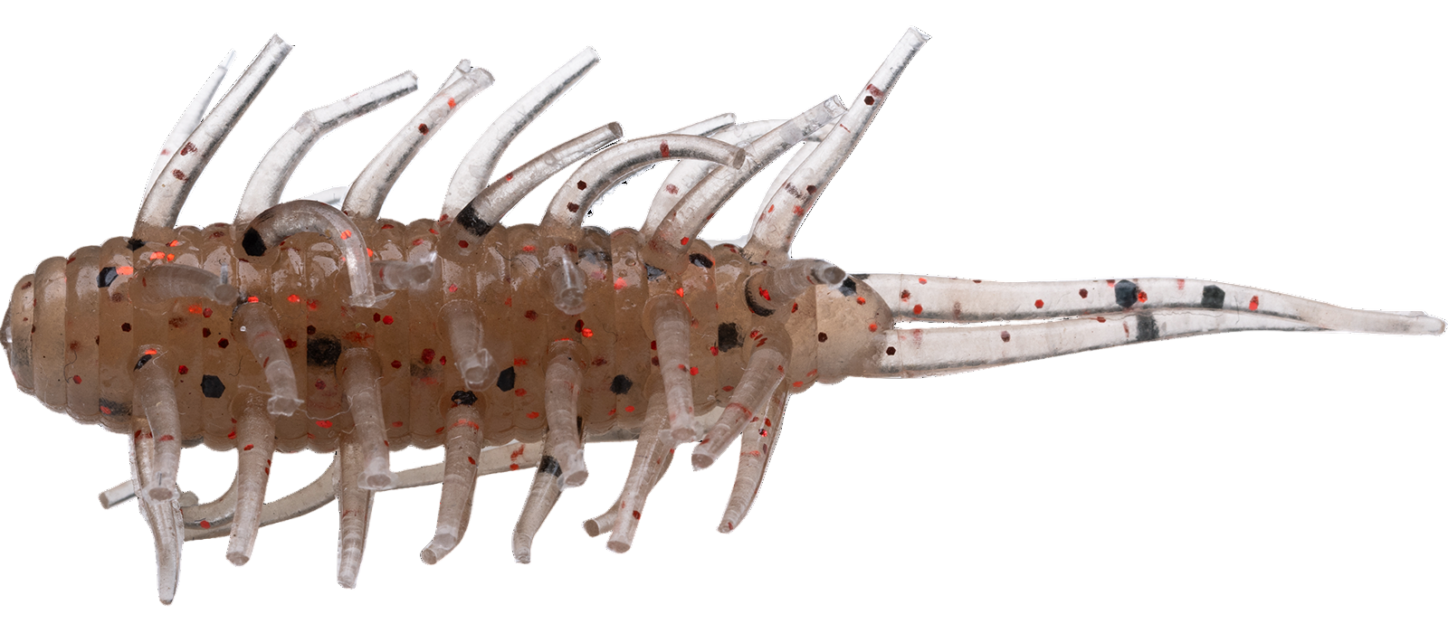 Crevettes Hideup Coike