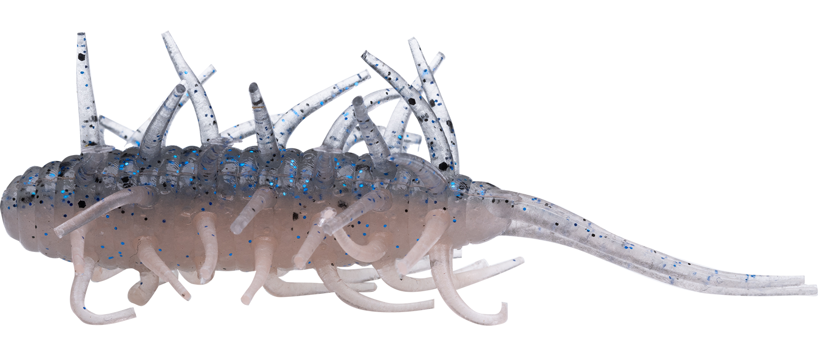 Crevettes Hideup Coike