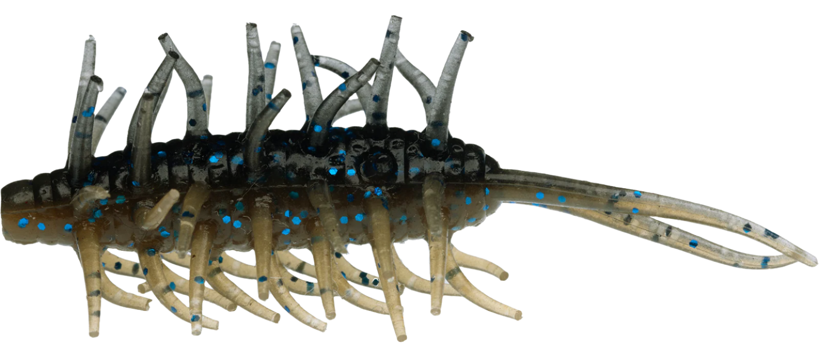 Mini crevettes Hideup Coike