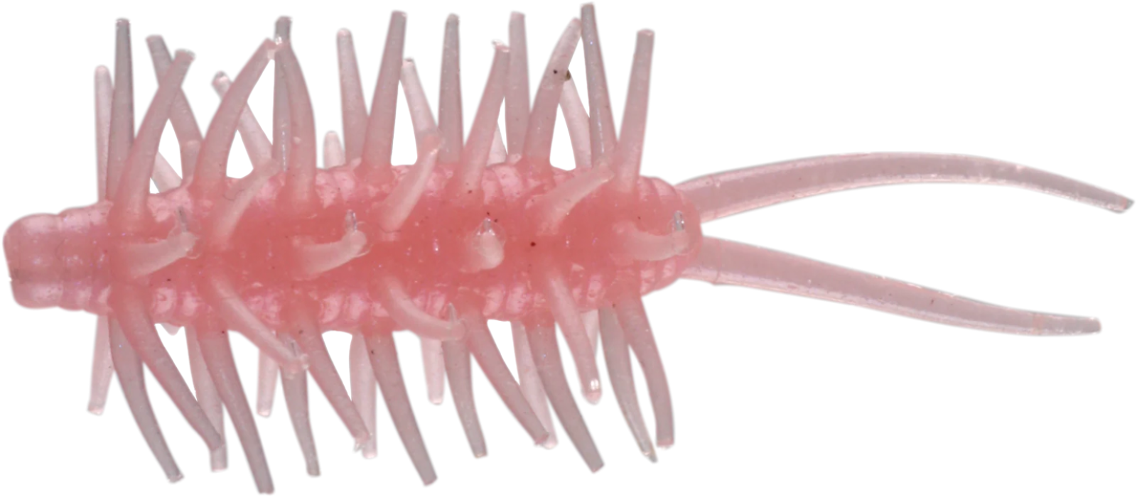 Hideup Coike Shrimp Mini