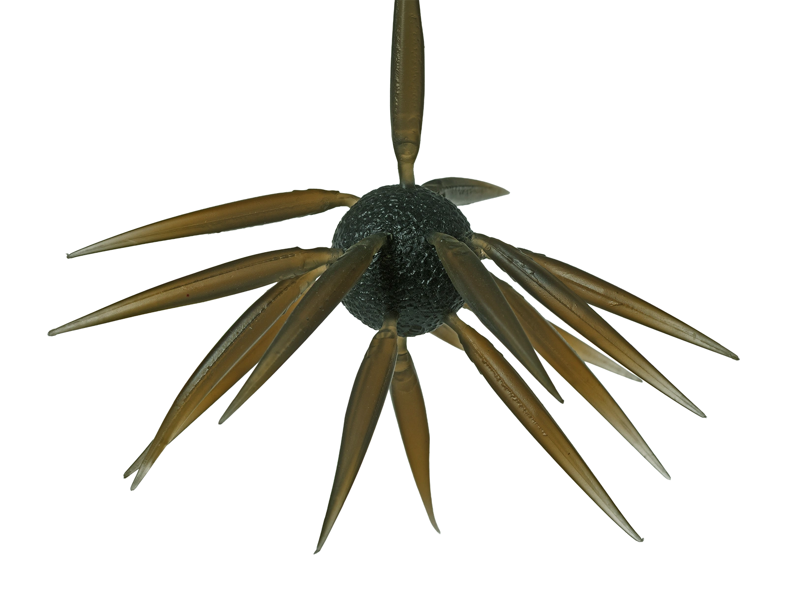 Hideup Coike Fish L Elastomer