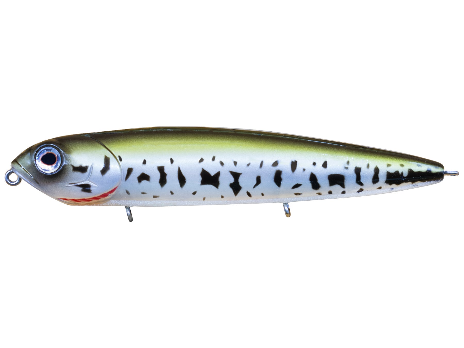 Teckel USA Kicknocker PUP Walking Bait