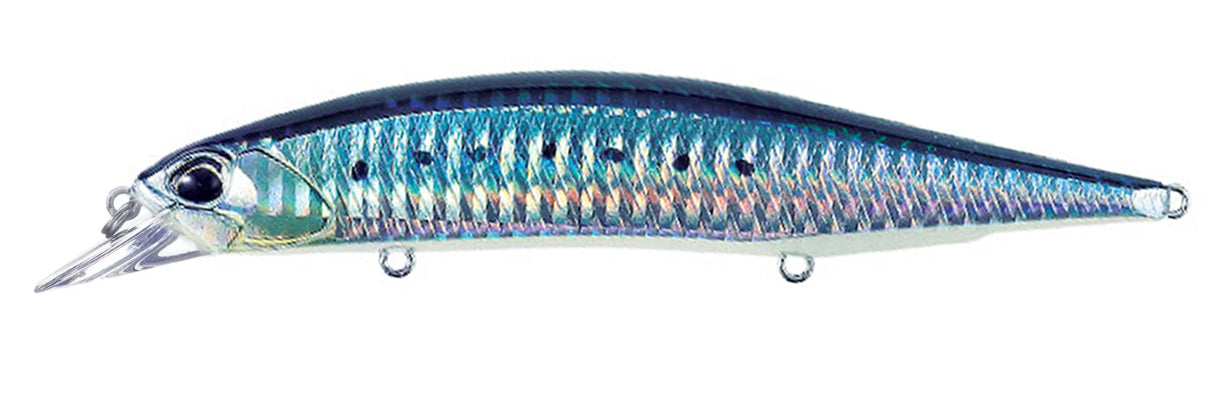 Clear Blue Sardine