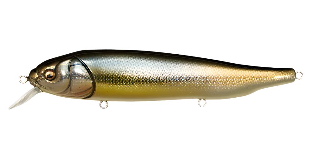 DD Silver Shad