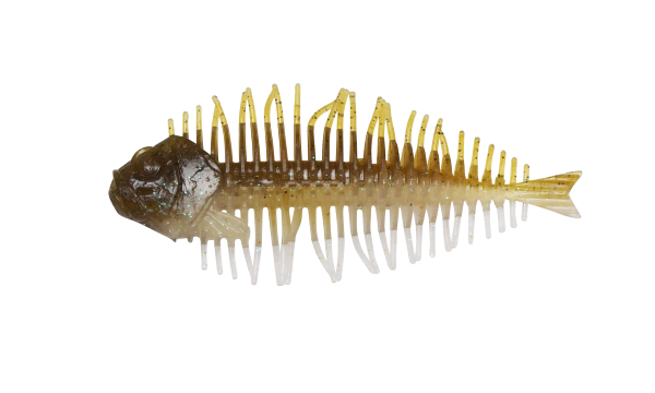 D-Style Geelacanth