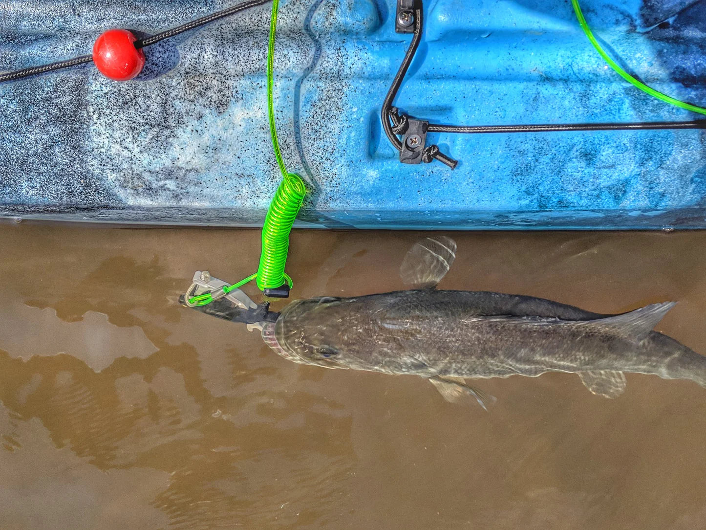 Cal Coast Fishing Donkey Leash Culling Systems