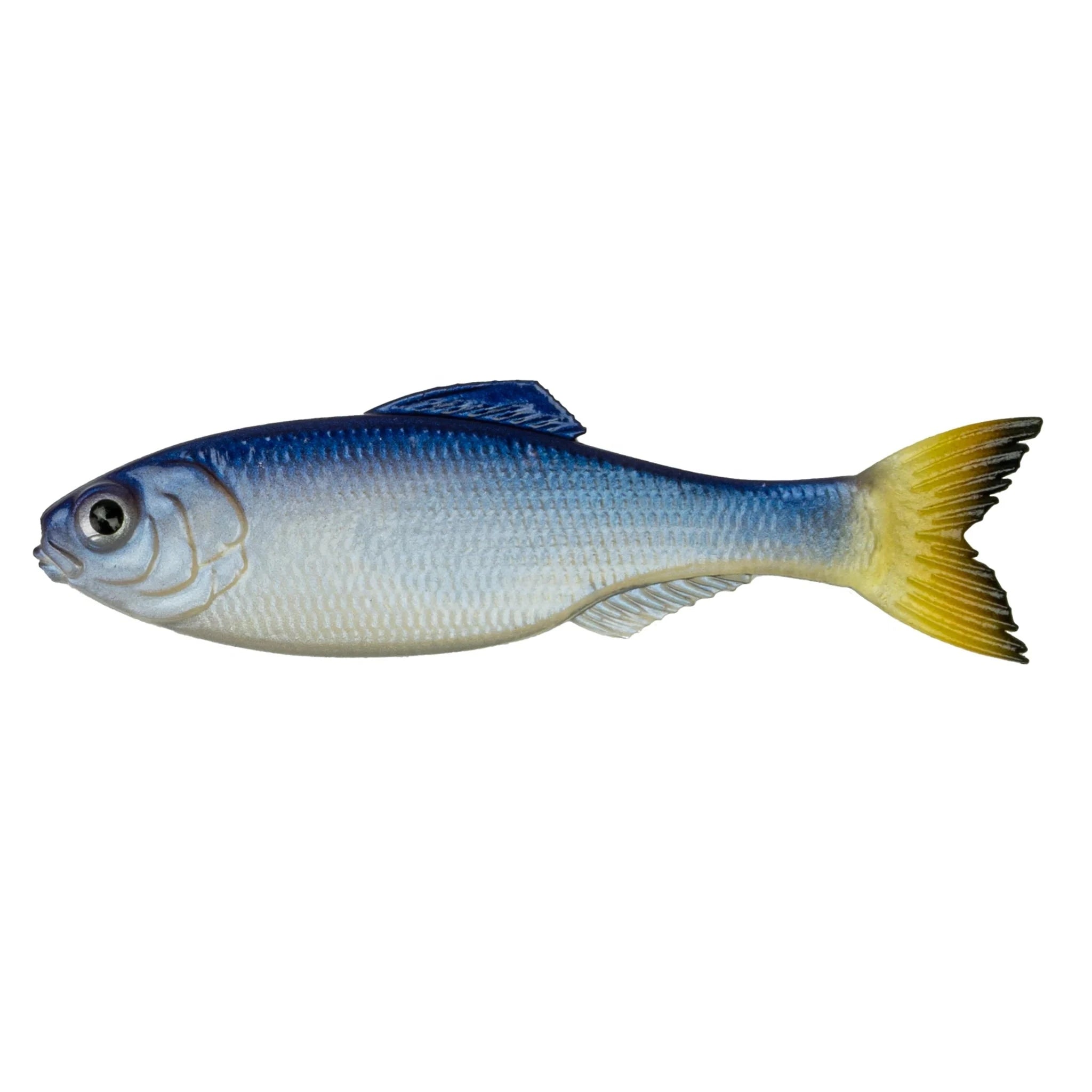 Glass Minnow