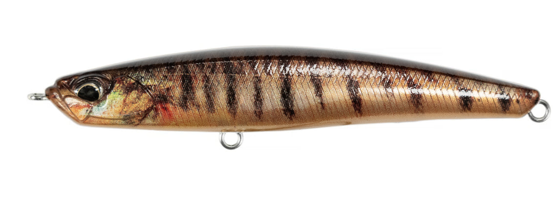 Duo Realis Bayruf Seek 85S FW