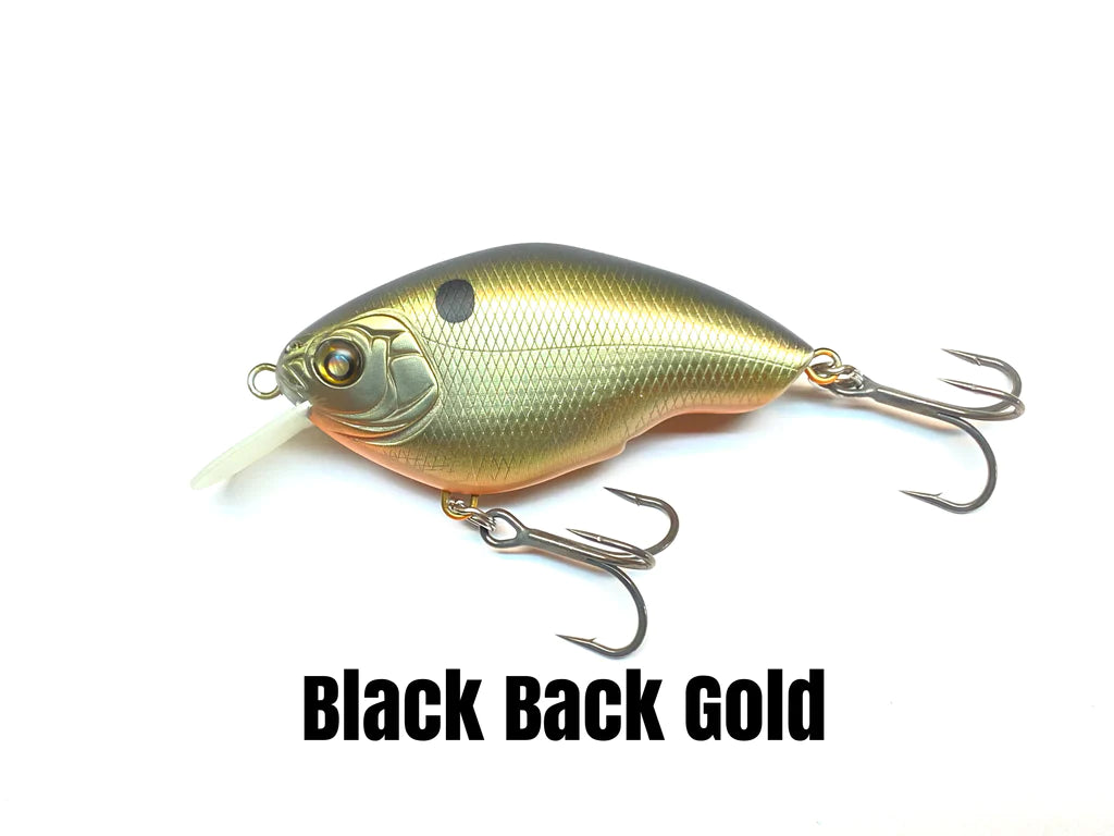 Black Back Gold