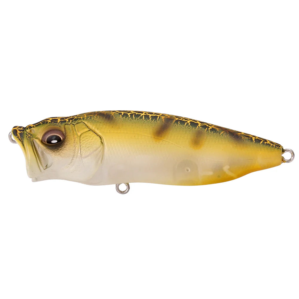 Megabass Popmax Special Run Colors
