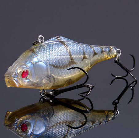 Respect Series 51 - "Red Eye Glass Shrimp"