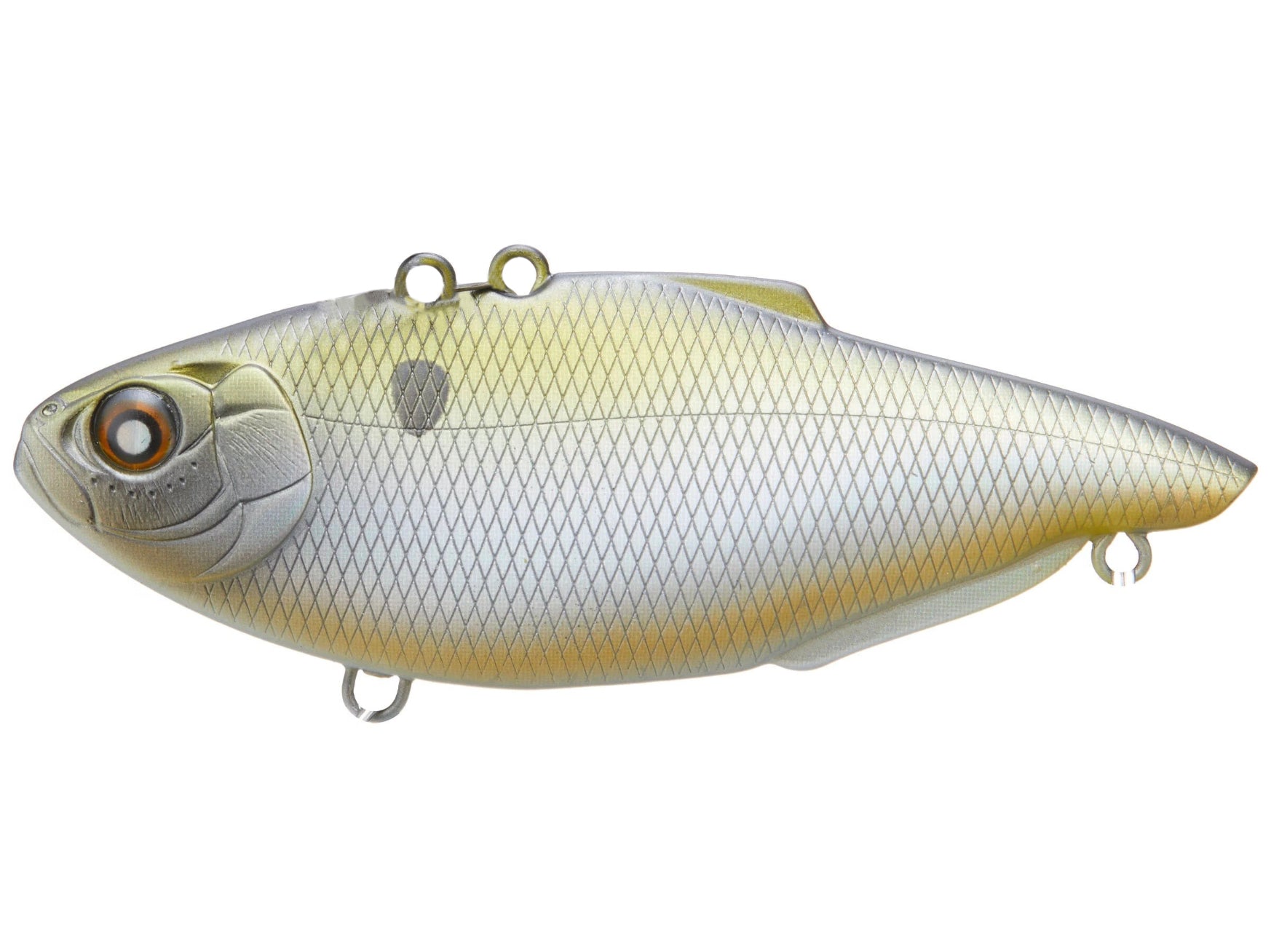 Hologram Shad