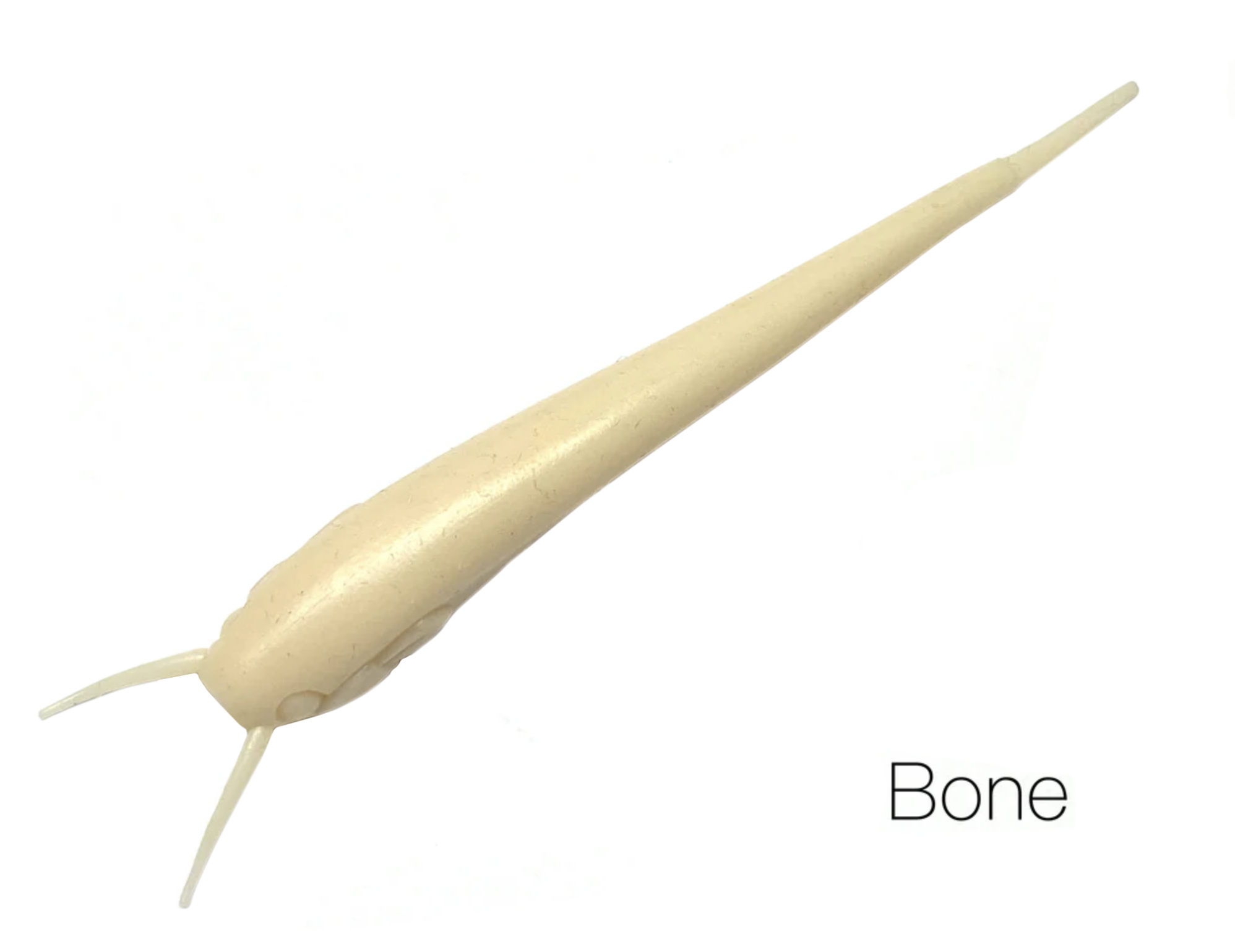 Bone