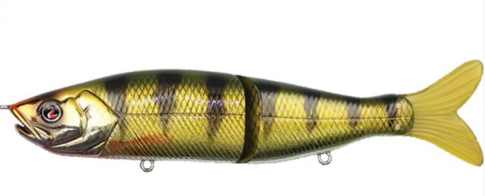 Yellow Perch