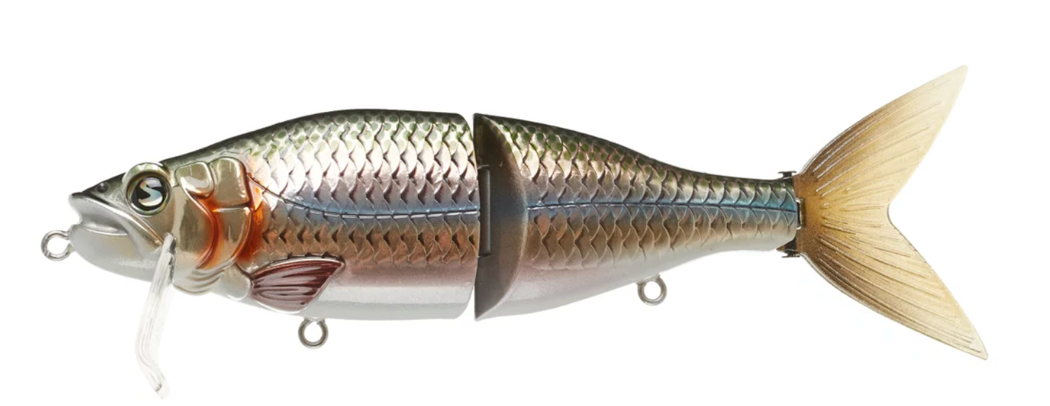 Copper Carp