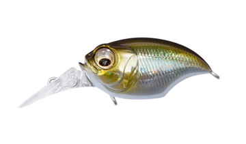 CASIO G-SHOCK × MEGABASS GRIFFON A2972 Megabass SR-X Griffon