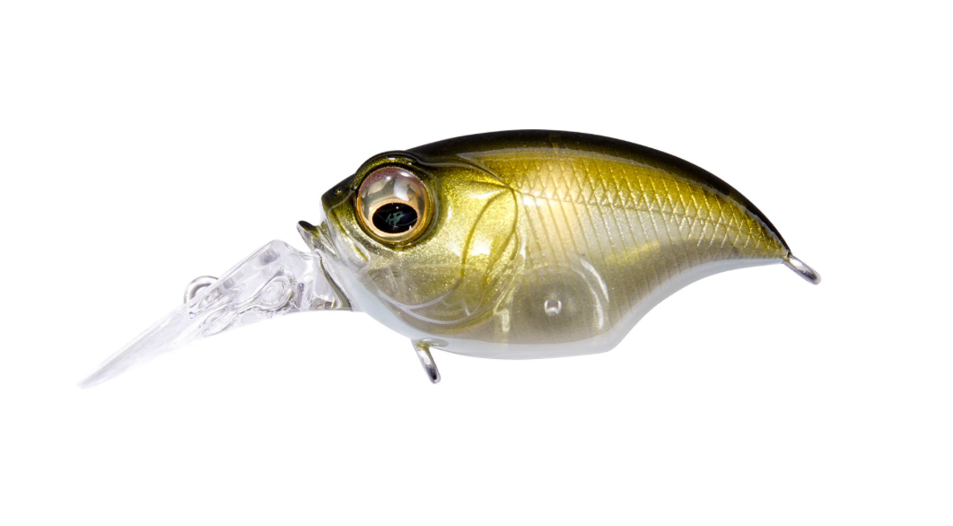 SG Skeleton Bream