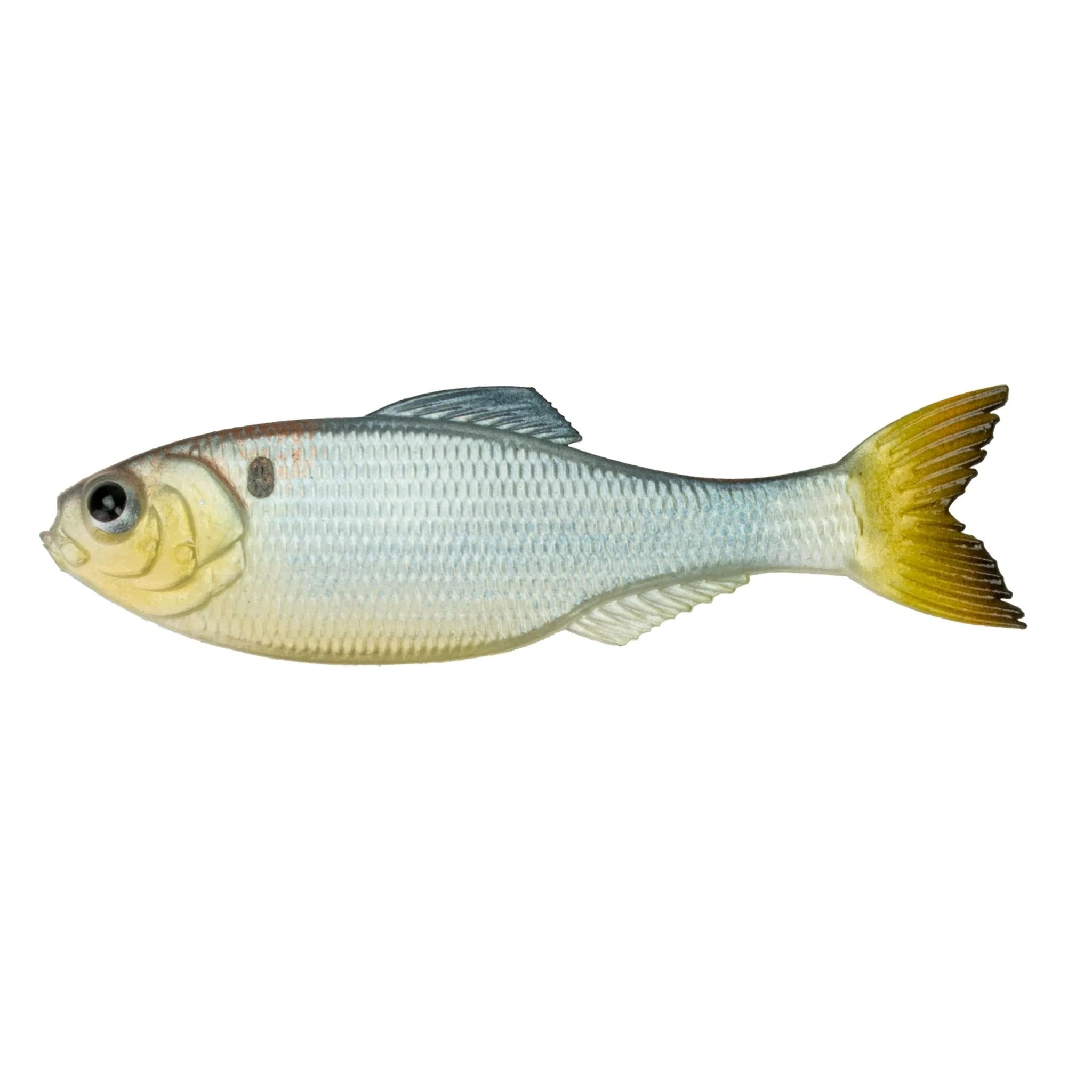 Shad Clone