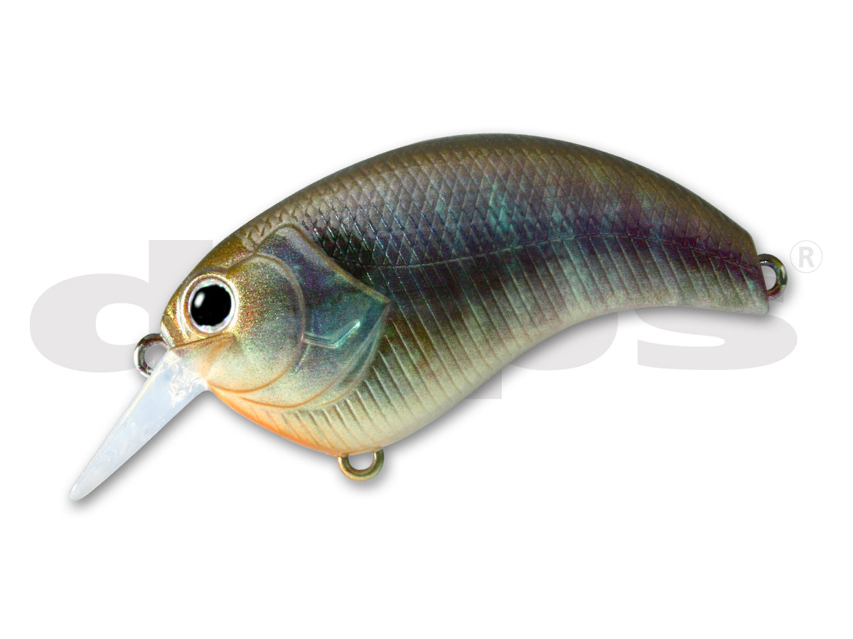 Real Bluegill