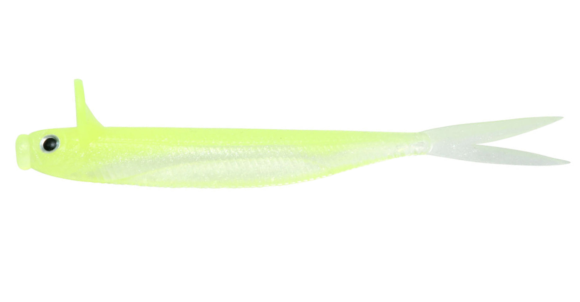Deps 褶边鲥鱼