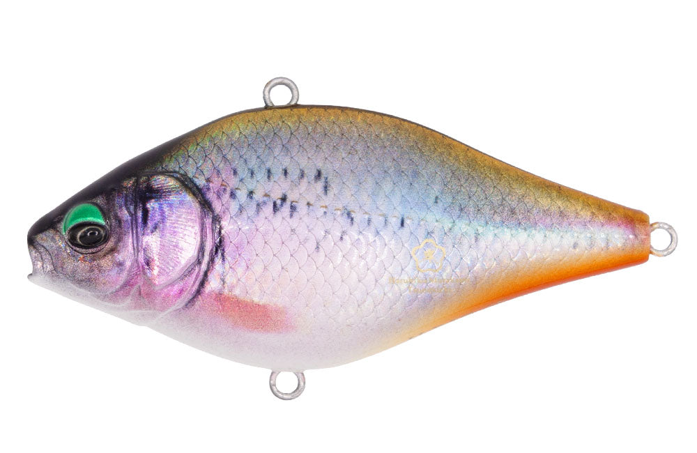 Issei x Little Jack Hera Vibe 65S Real Finish