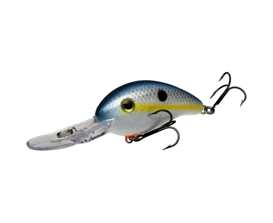 Sexy Shad