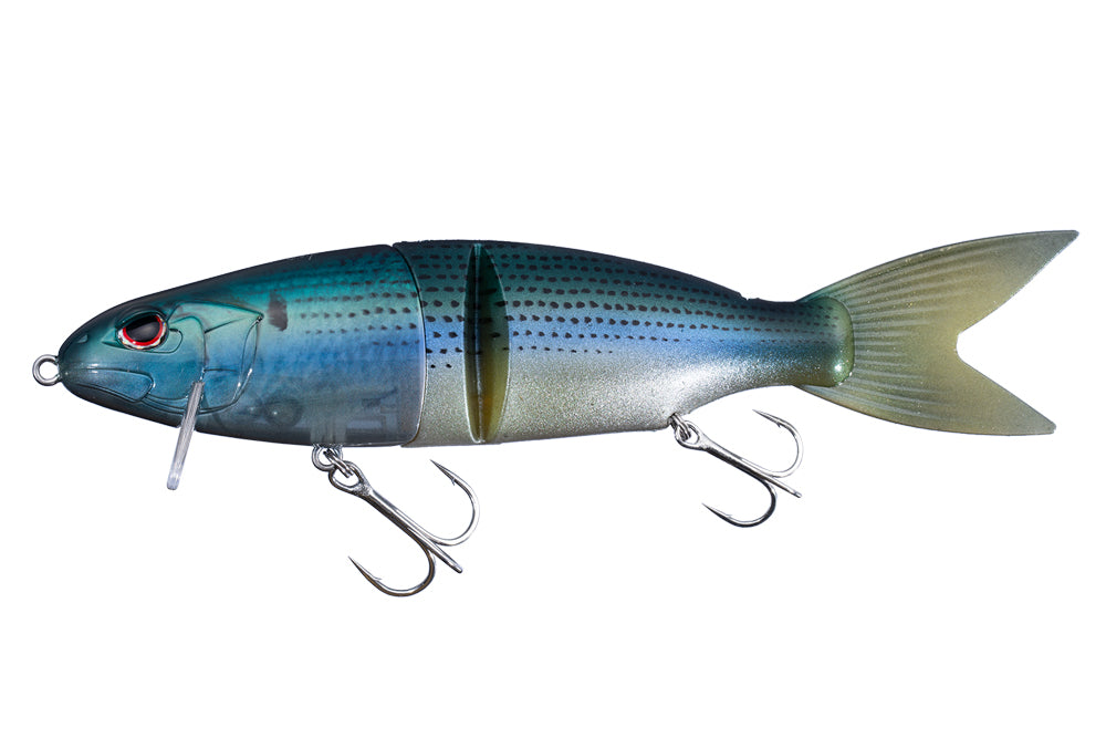 Real Gizzerd Shad KSW06