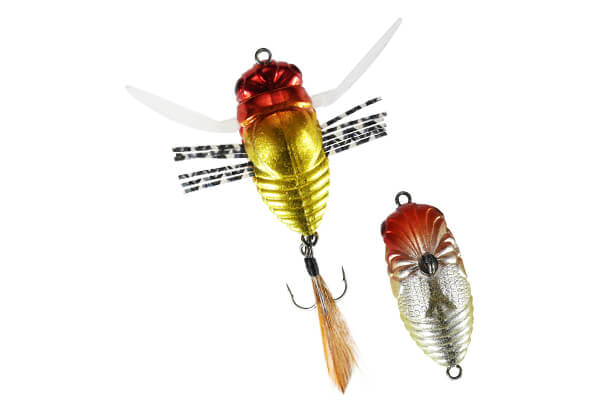 Duo Realis Koshinmushi