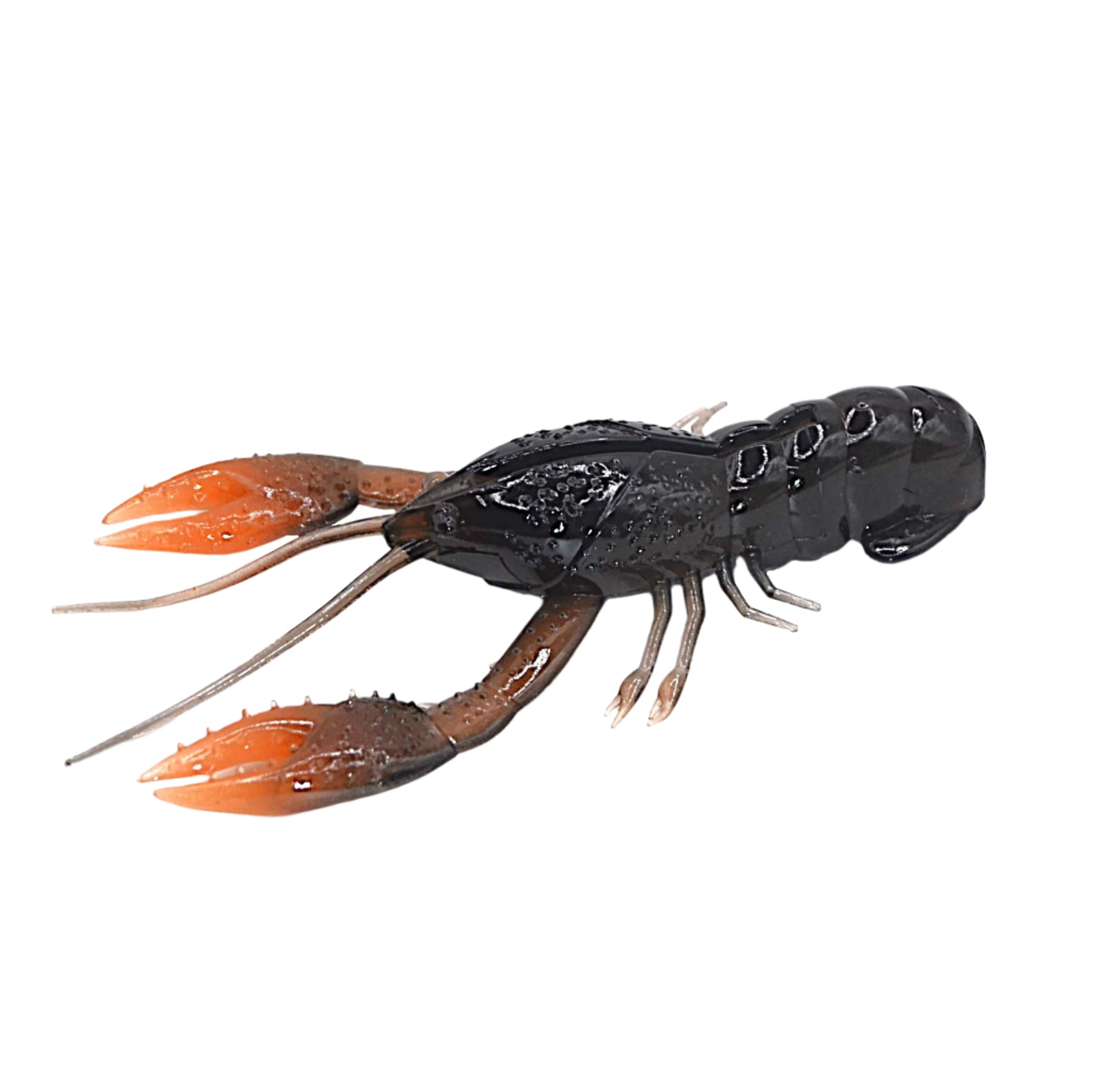 Nikko Craw