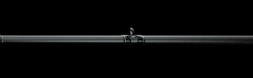 Daiwa Prorex Stein 25 Casting Rod