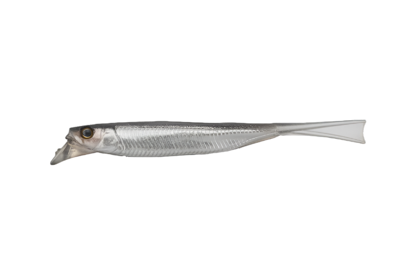 Silver Powder Shad