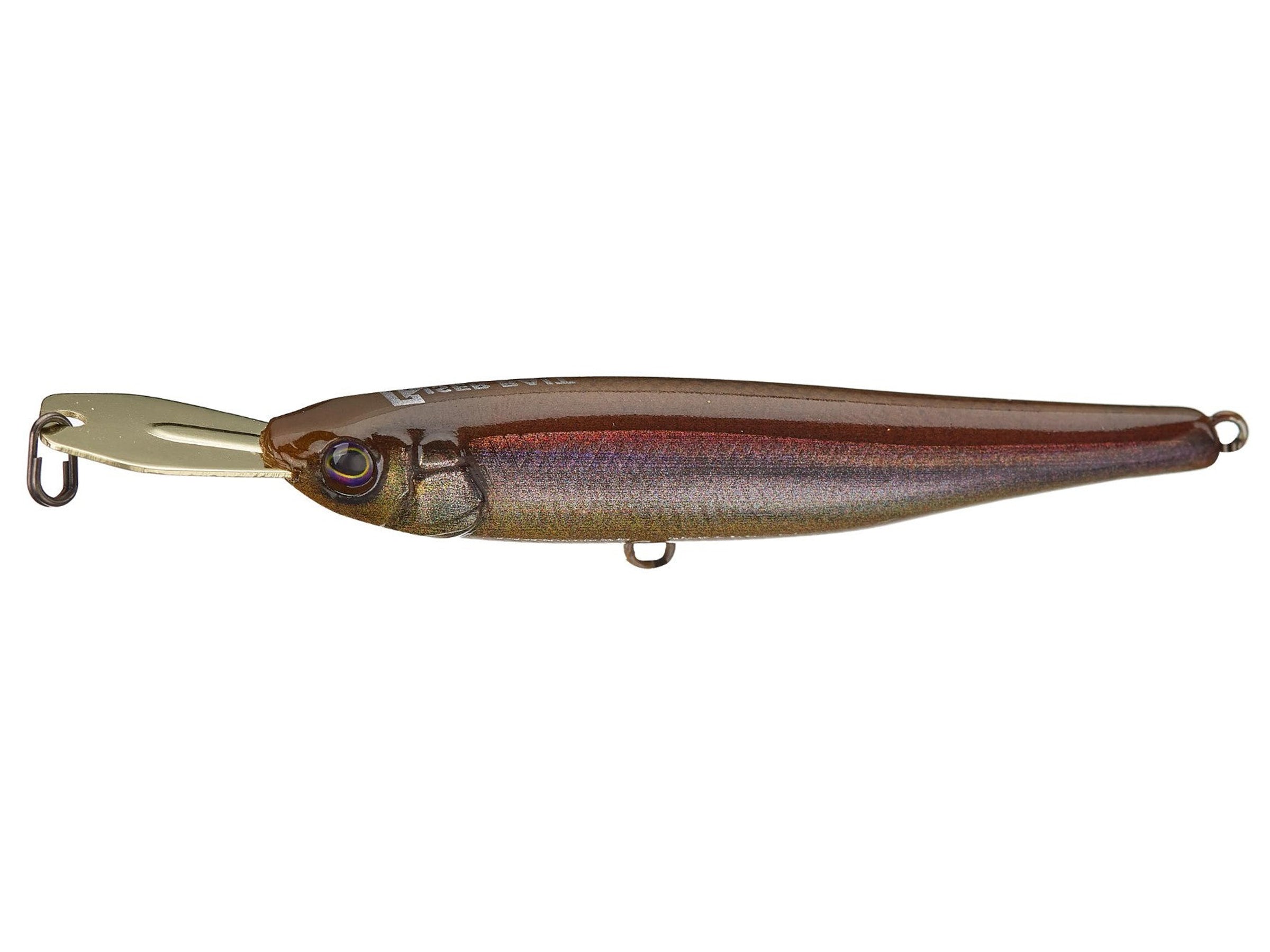 RT Minnow