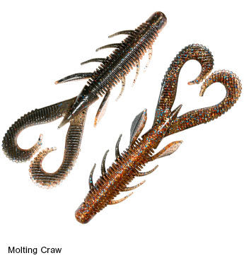 Molting Craw