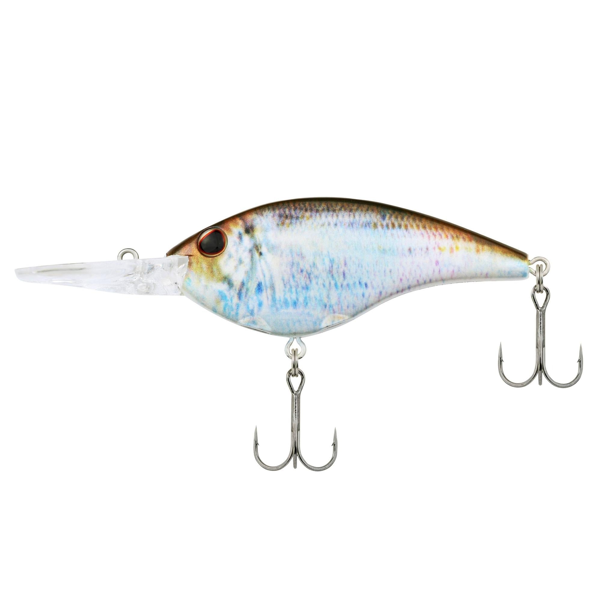 HD Blueback Herring