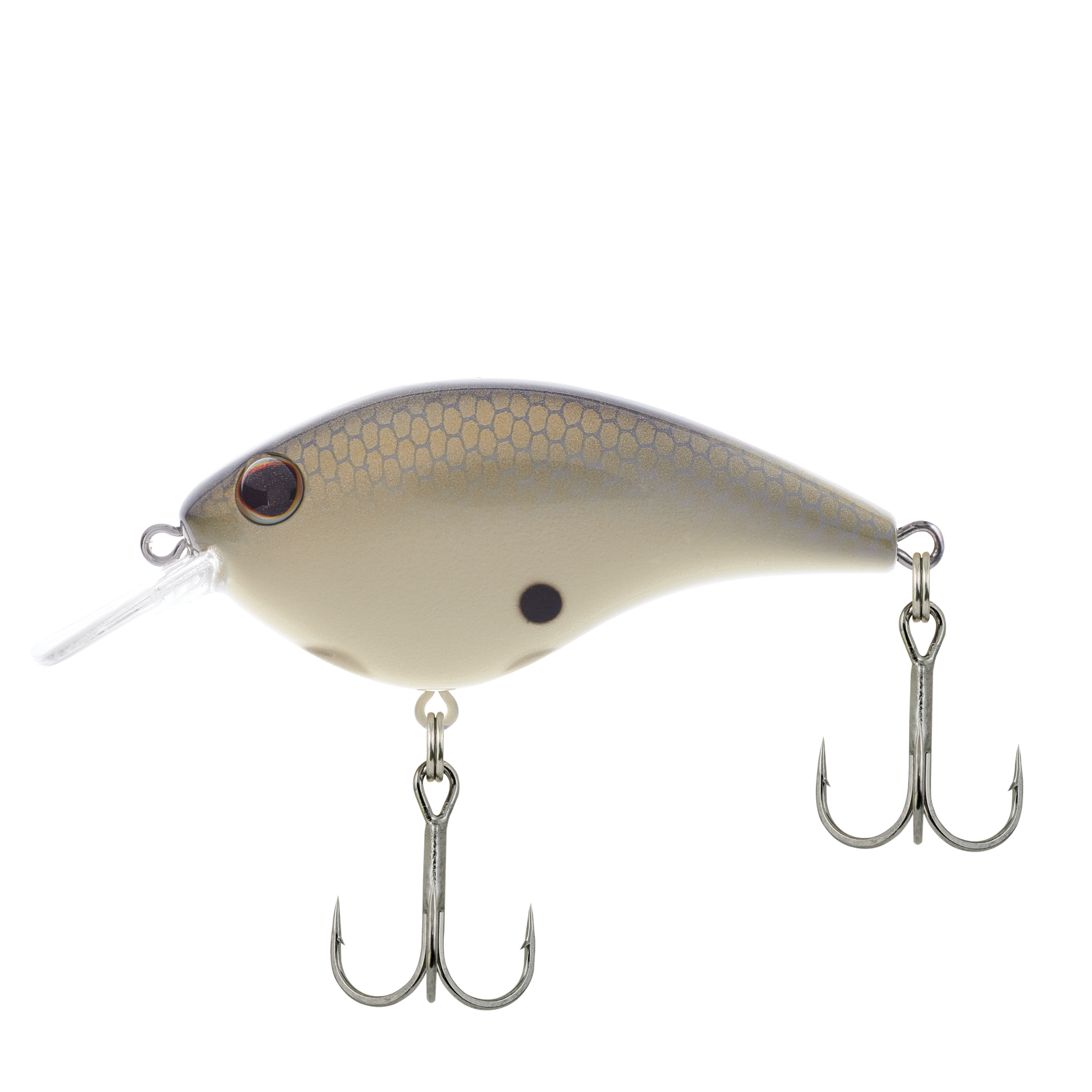 Honey Shad