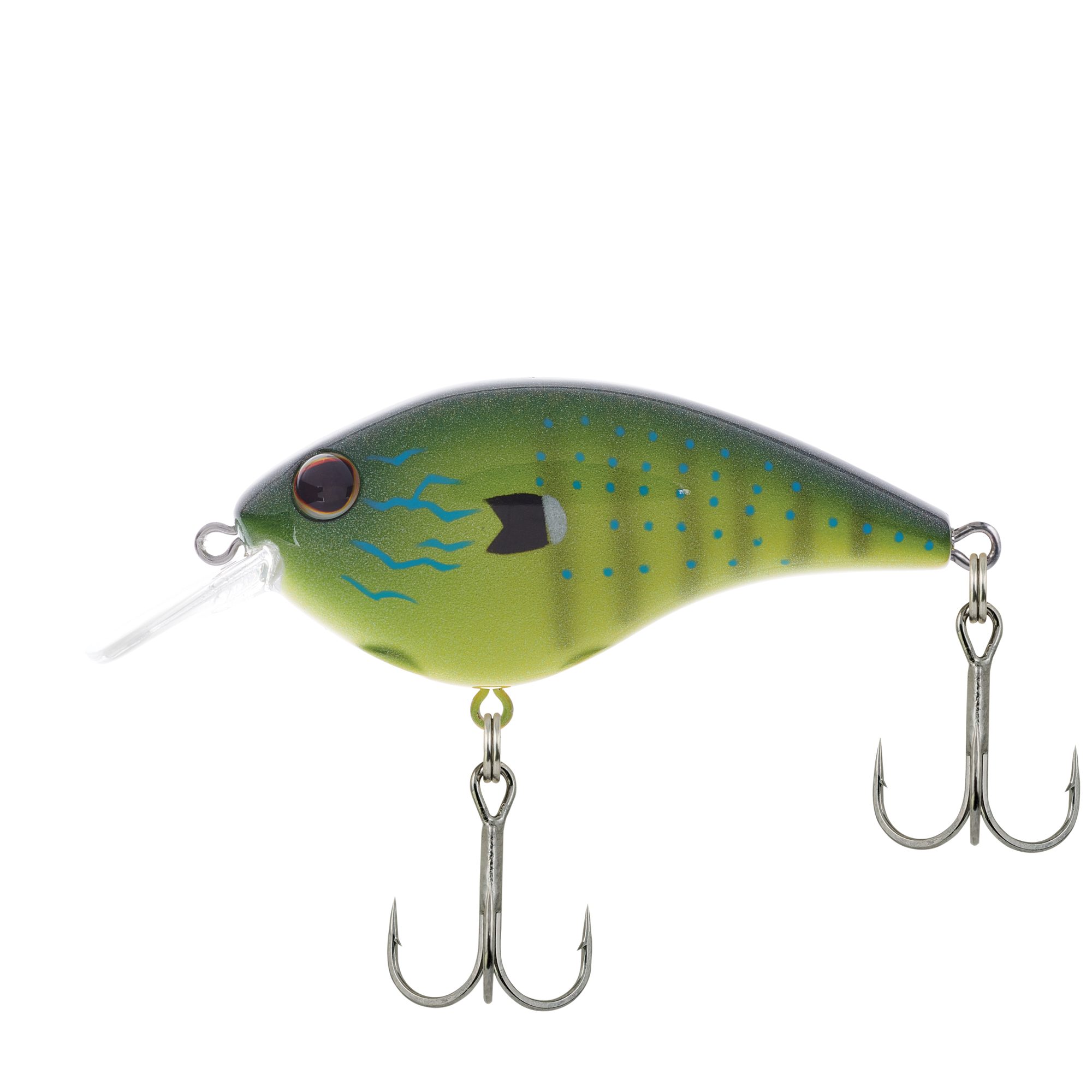 Rubbertail