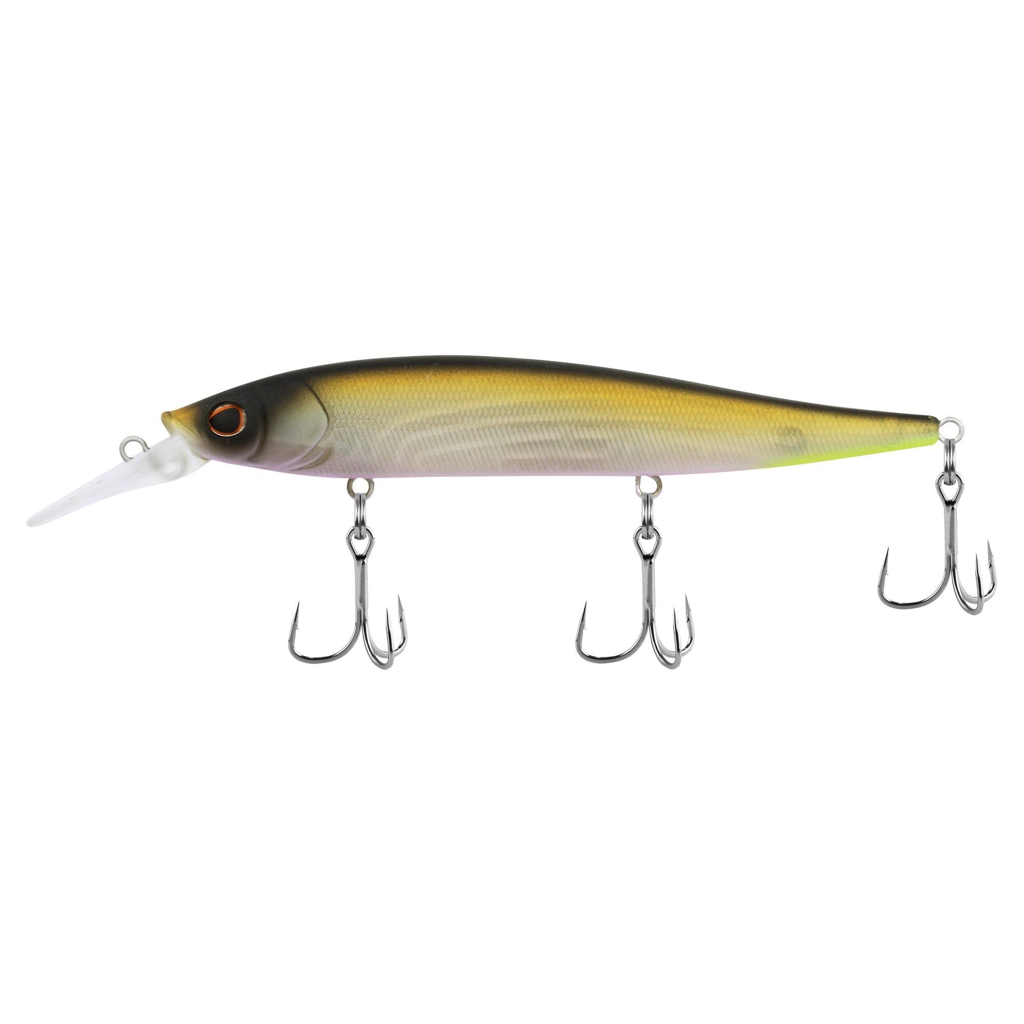 MF Tennessee Shad