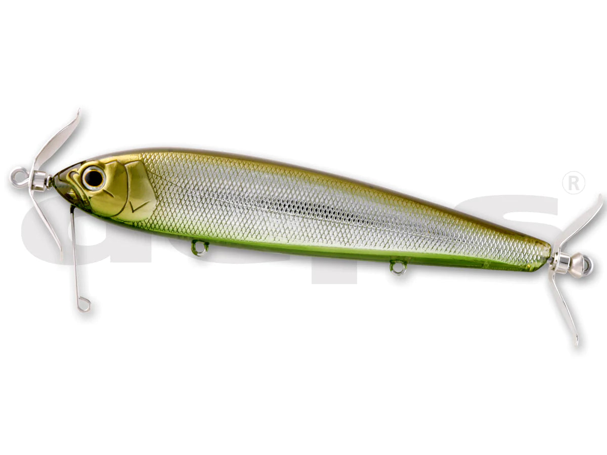 Grass Belly Shiner
