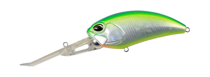 Citrus Shiner
