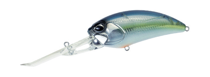 Komochi Shad